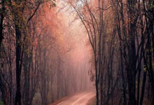 利物浦再胜，主场-击败沃特福德