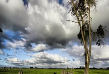 利物浦再胜，主场-击败沃特福德