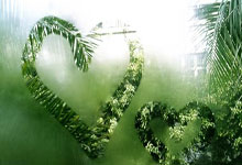 利物浦再胜，主场-击败沃特福德