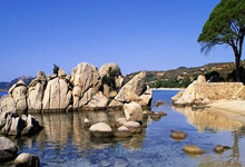 台湾队球员集体爆发，士气高涨