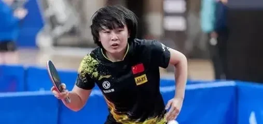 湖南队在比赛中展现出实力，实现大逆转的简单介绍